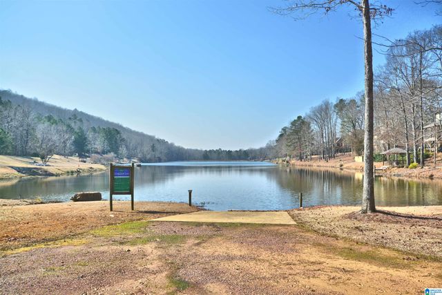 6019 LONG LEAF LAKE TRAIL, Helena, AL 35022