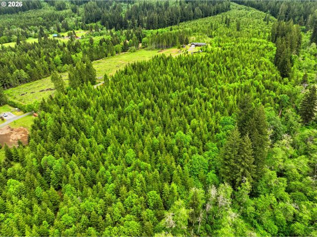 23009 Ne DOLE VALLEY Rd, Yacolt, WA 98675