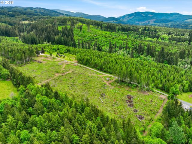 23009 Ne DOLE VALLEY Rd, Yacolt, WA 98675