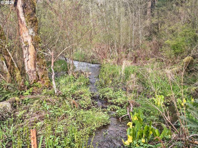 23009 Ne DOLE VALLEY Rd, Yacolt, WA 98675