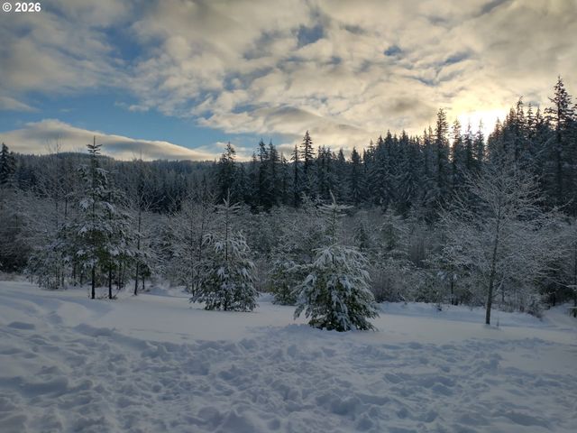 23009 Ne DOLE VALLEY Rd, Yacolt, WA 98675