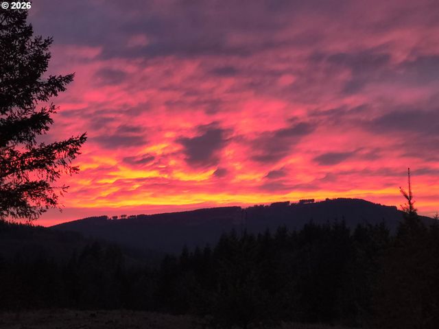 23009 Ne DOLE VALLEY Rd, Yacolt, WA 98675