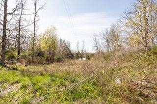 10050 Maya Drive, Conway, MO 65632