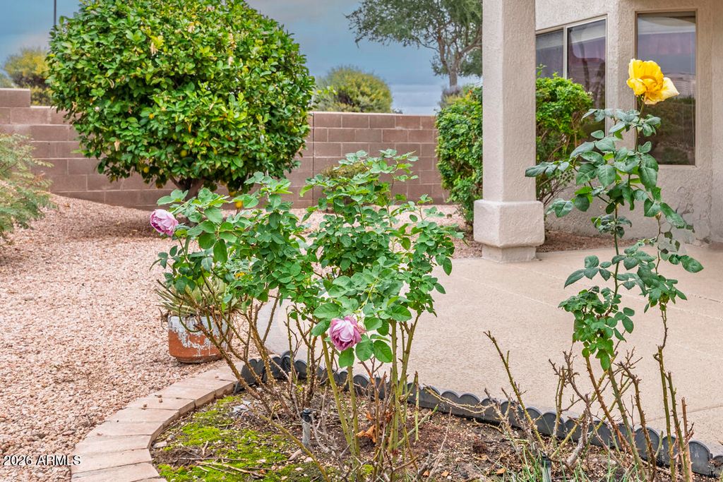 Image 25 of property listing at 16024 W RIO VERDE Court, Surprise, AZ 85374