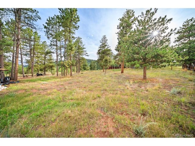 1869 County Road 21, Woodland Park, CO 80863