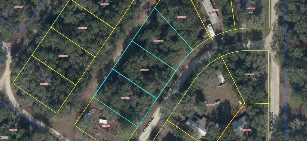 Lot 2-4 NE 157TH AVENUE, Williston, FL 32696