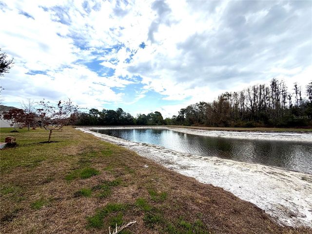 20265 MERRY OAK AVENUE, Tampa, FL 33647