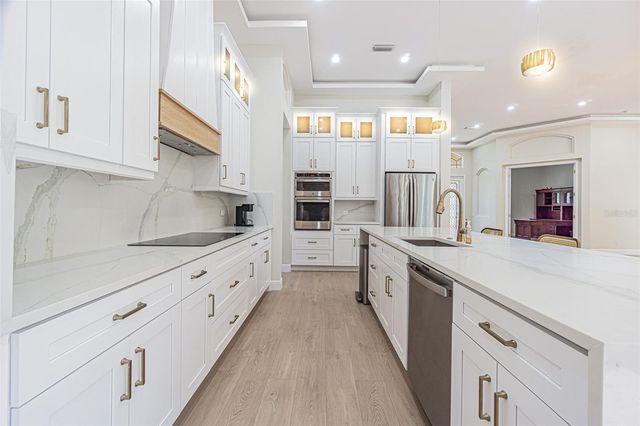 27447 WATER ASH DRIVE, Wesley Chapel, FL 33544