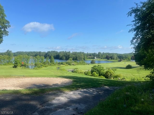 260 Old Chimney Ridge Rd, Montague Twp., NJ 07827