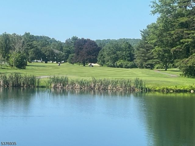 260 Old Chimney Ridge Rd, Montague Twp., NJ 07827