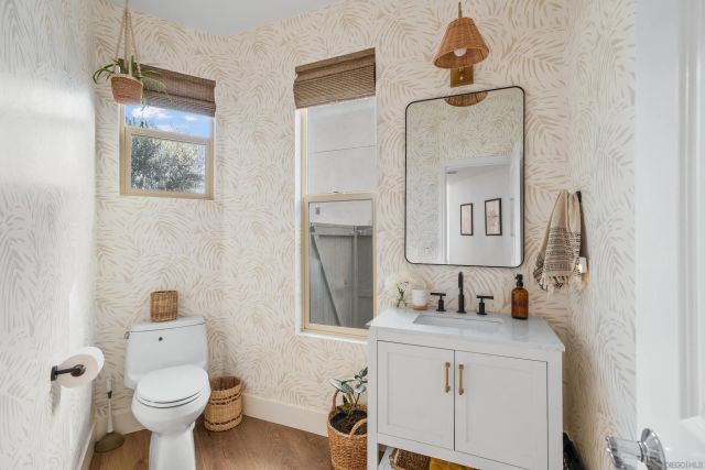 669 Calypso Pl, Encinitas, CA 92024