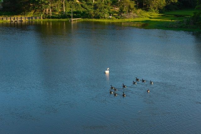 429 Highbank Rd, Yarmouth, MA 02664