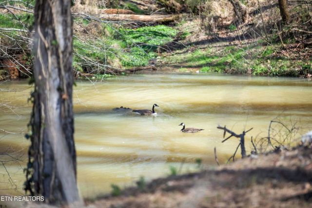 507 Short St, Athens, TN 37303