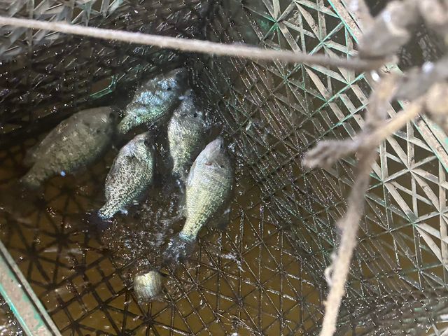 632 County Road 183, Carthage, TX 75633