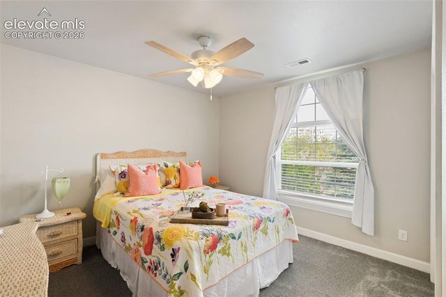 3415 Limber Pine Court, Colorado Springs, CO 80920