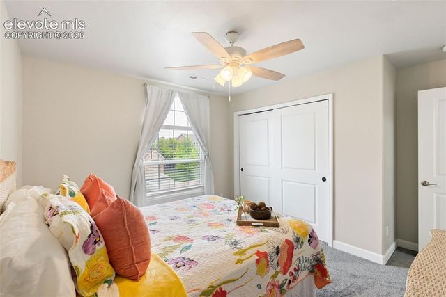 3415 Limber Pine Court, Colorado Springs, CO 80920