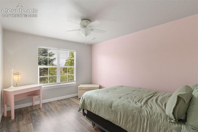 3415 Limber Pine Court, Colorado Springs, CO 80920