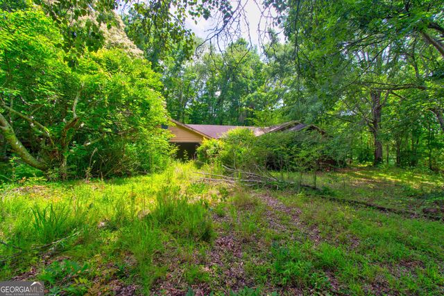 6439 S Chestatee Street, Dahlonega, GA 30533