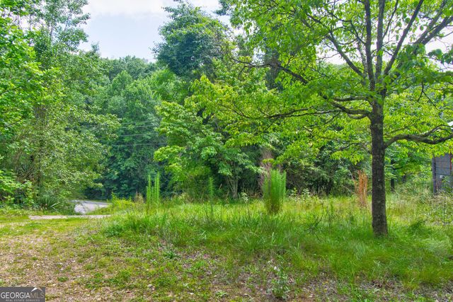 6439 S Chestatee Street, Dahlonega, GA 30533
