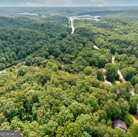 6439 S Chestatee Street, Dahlonega, GA 30533