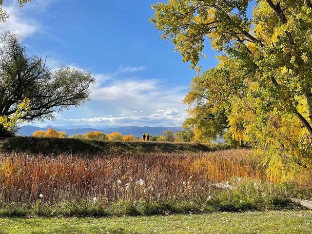5946 Gunbarrel Ave C, Boulder, CO 80301