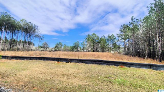 0 CHANCELLORS FERRY LOOP, Harpersville, AL 35078