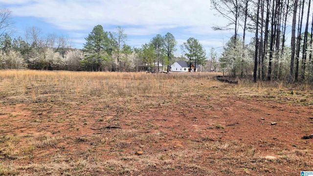 0 CHANCELLORS FERRY LOOP, Harpersville, AL 35078