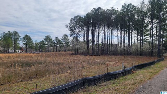 0 CHANCELLORS FERRY LOOP, Harpersville, AL 35078