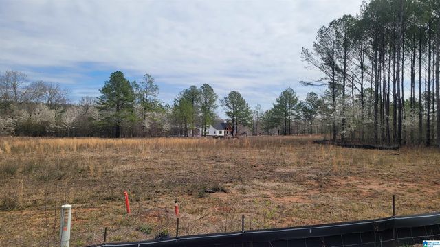 0 CHANCELLORS FERRY LOOP, Harpersville, AL 35078