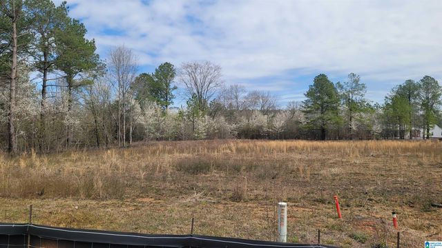 0 CHANCELLORS FERRY LOOP, Harpersville, AL 35078