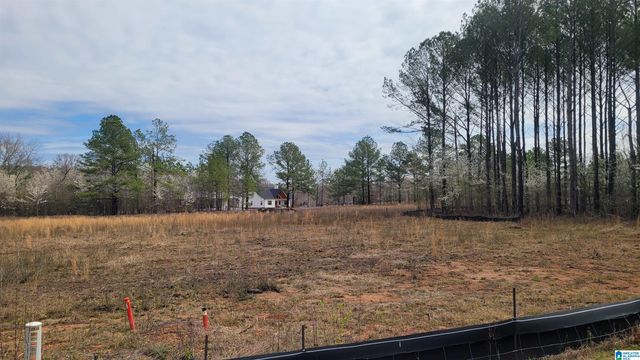 0 CHANCELLORS FERRY LOOP, Harpersville, AL 35078