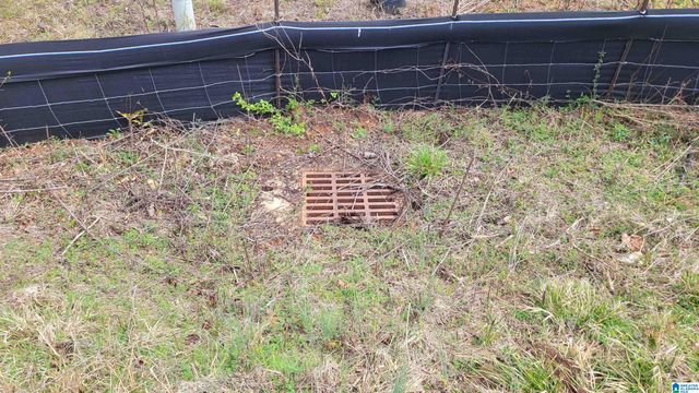 0 CHANCELLORS FERRY LOOP, Harpersville, AL 35078