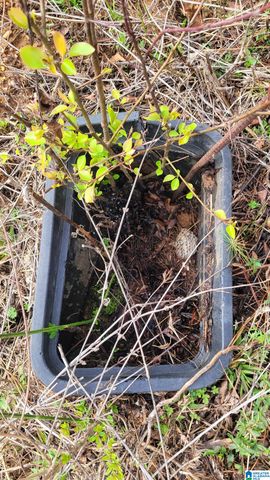 0 CHANCELLORS FERRY LOOP, Harpersville, AL 35078