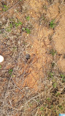 0 CHANCELLORS FERRY LOOP, Harpersville, AL 35078