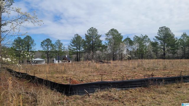 0 CHANCELLORS FERRY LOOP, Harpersville, AL 35078