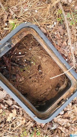 0 CHANCELLORS FERRY LOOP, Harpersville, AL 35078