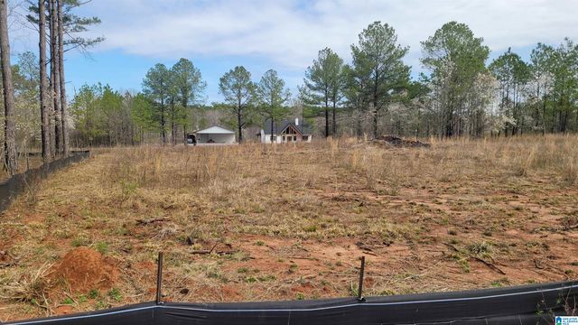 0 CHANCELLORS FERRY LOOP, Harpersville, AL 35078