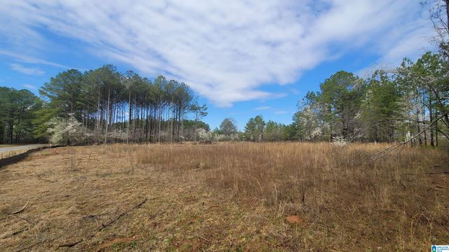 0 CHANCELLORS FERRY LOOP, Harpersville, AL 35078