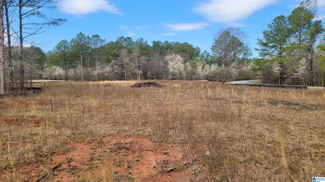 0 CHANCELLORS FERRY LOOP, Harpersville, AL 35078