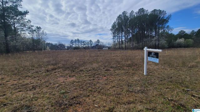 0 CHANCELLORS FERRY LOOP, Harpersville, AL 35078