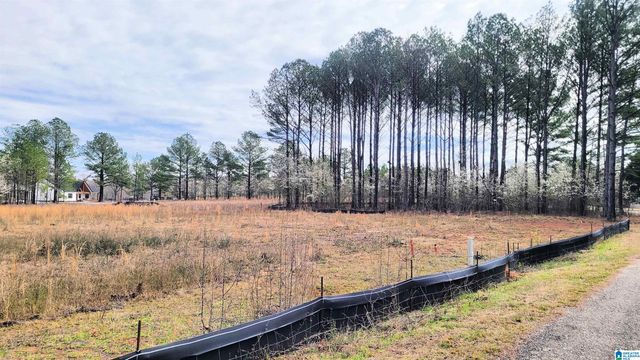 0 CHANCELLORS FERRY LOOP, Harpersville, AL 35078