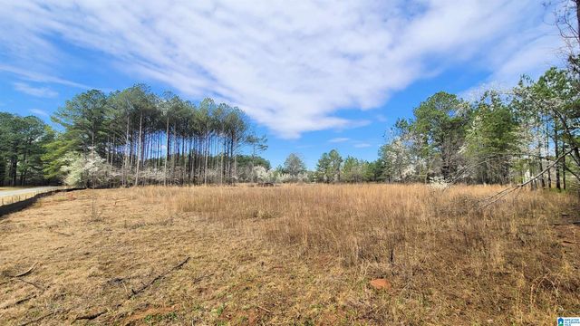 0 CHANCELLORS FERRY LOOP, Harpersville, AL 35078