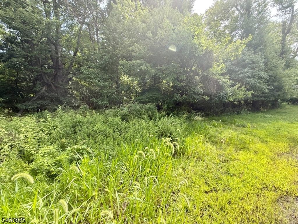 70 Fairfield Rd, Wayne Twp., NJ 07470 — photo 5