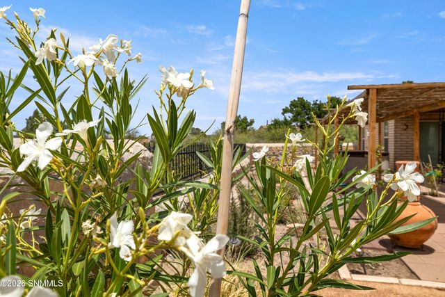 4643 Sandalwood Drive, Las Cruces, NM 88011