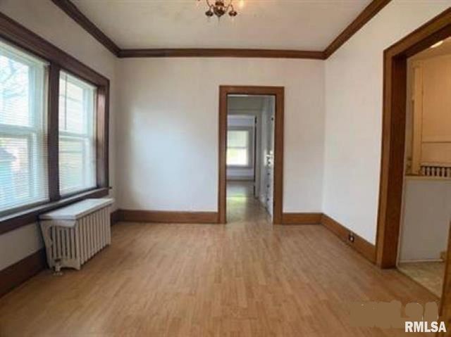 1317 N ELLIS Street, Peoria, IL 61606