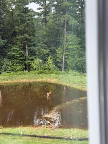 17 Silvergrass Ln, Southwick, MA 01077