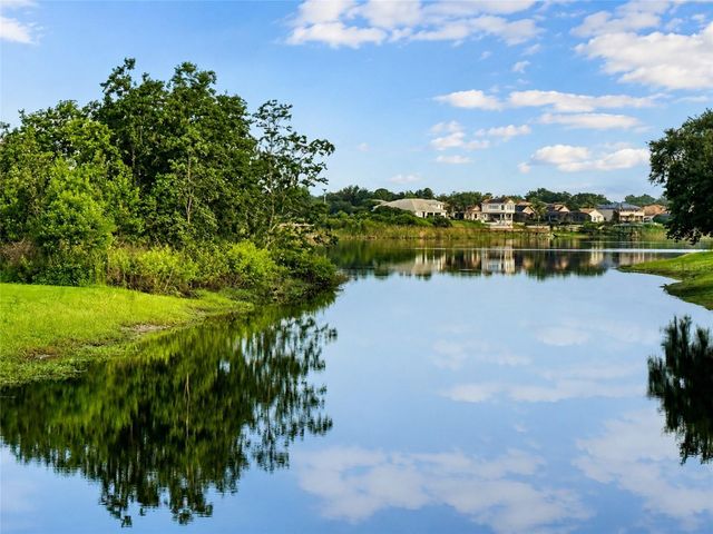14140 COUNTRY ESTATE DRIVE, Winter Garden, FL 34787