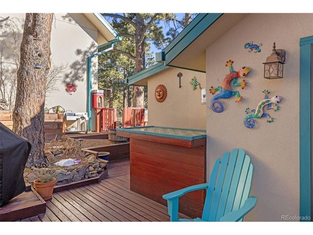 2 King Pl, Nederland, CO 80466