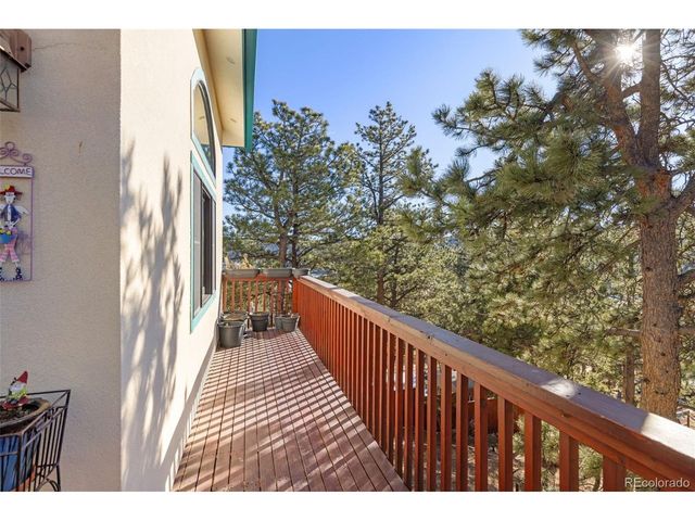 2 King Pl, Nederland, CO 80466