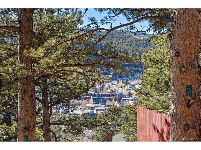 2 King Pl, Nederland, CO 80466